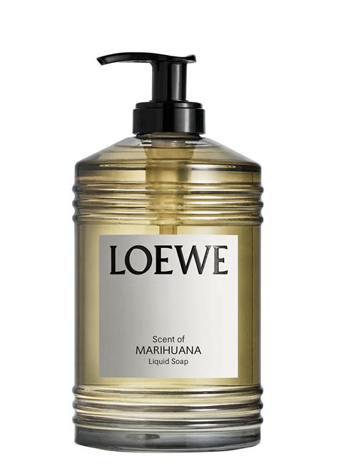 harvey nichols loewe